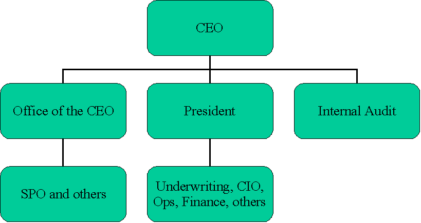 Strategic Project Management Org Chart